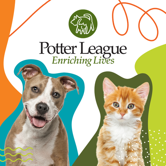 Potter League for Animals in Middletown, RI | Clear The Shelters image