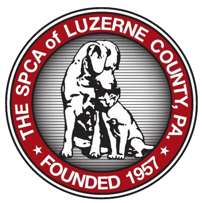 SPCA of Luzerne County in Wilkes Barre, 577 | Clear The Shelters 2022 image