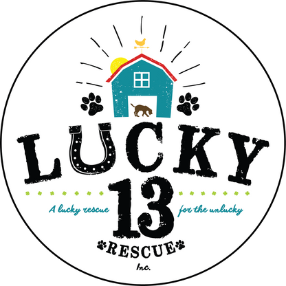 Lucky 13 Rescue in Kansas City, 616 | Clear The Shelters 2022 image