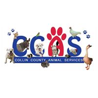 Collin County Animal Services in Mckinney, 623 | Clear The Shelters 2022 image