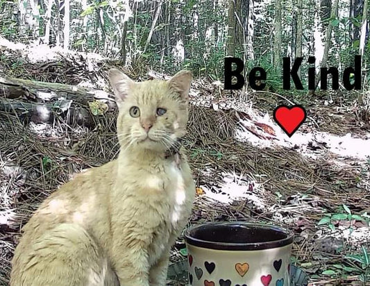 Finders Keepers Animal Sanctuary  in Creedmoor , 560 | Clear The Shelters 2022 image