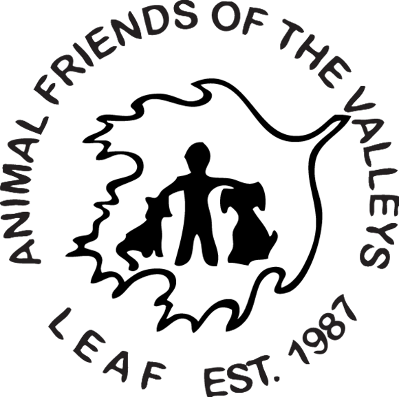 Animal Friends of the Valleys  in Wildomar, 803 | Clear The Shelters 2022 image