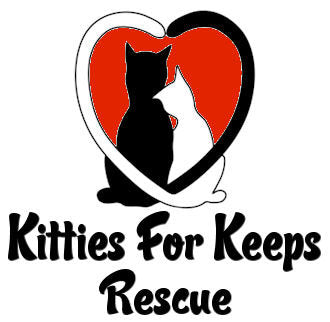 Kitties For Keeps Rescue in Hickory Hills, 602 | Clear The Shelters 2022 image