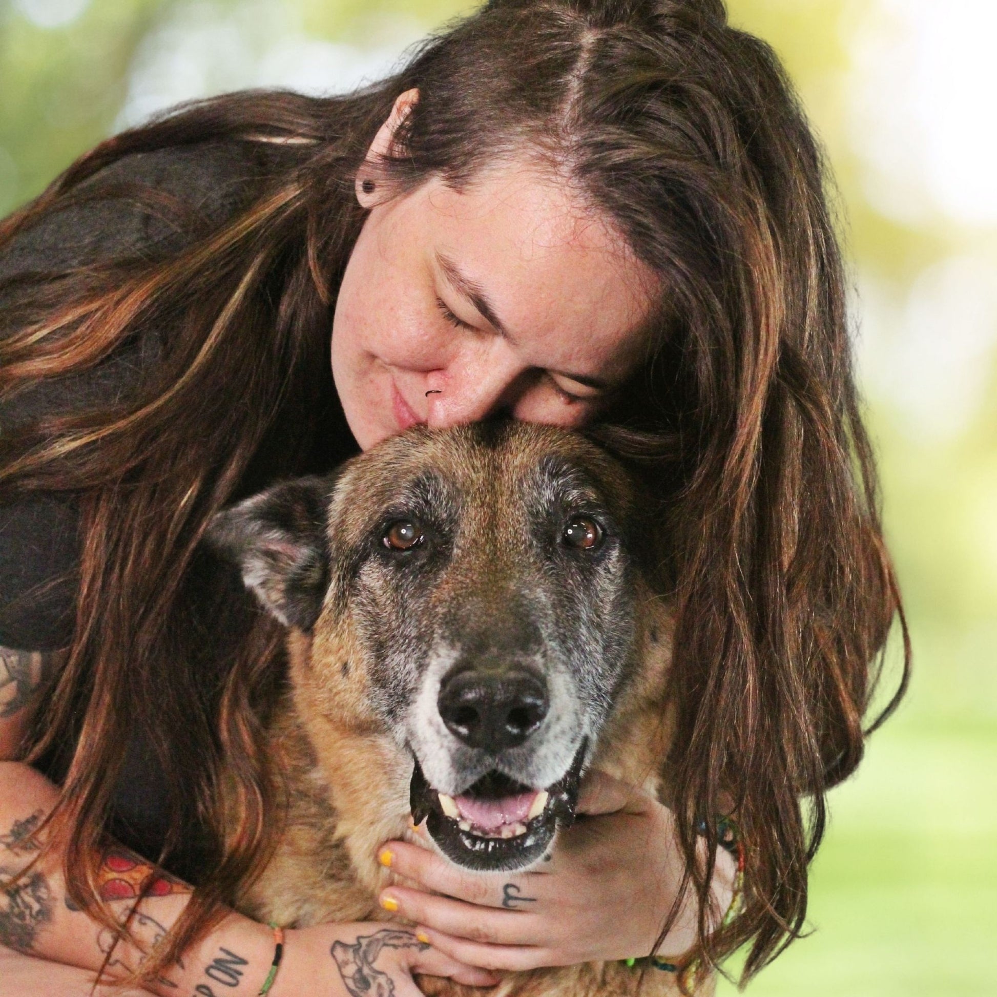 Yellowstone Valley Animal Shelter in Billings, MT | Clear The Shelters image