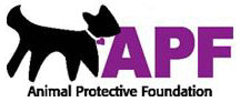 Animal Protective Foundation in Schenectady, 532 | Clear The Shelters 2022 image