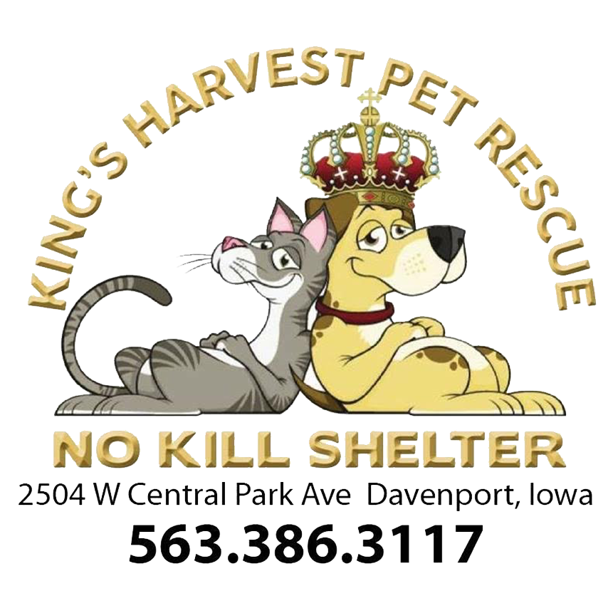 Kings Harvest Pet Rescue  in Davenport , 682 | Clear The Shelters 2022 image