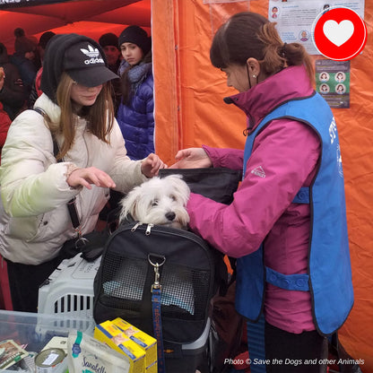 Ukraine Crisis: Feed Pets in Need - $10 Level