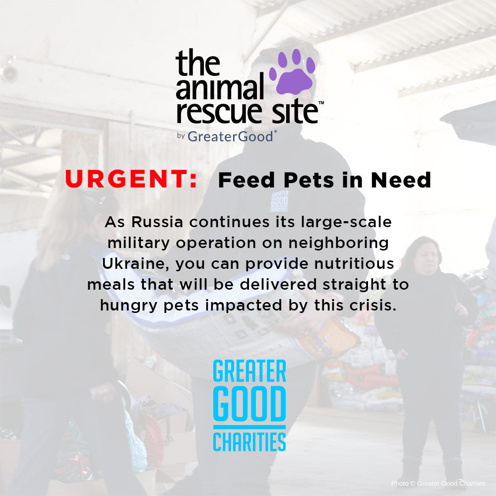 Ukraine Crisis: Feed Pets in Need - $10 Level