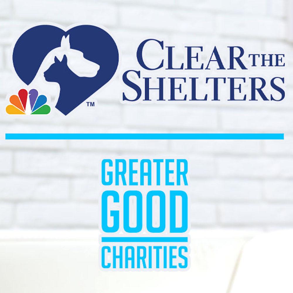 Second Chance Animal Services in East Brookfield, MA | Clear The Shelters image