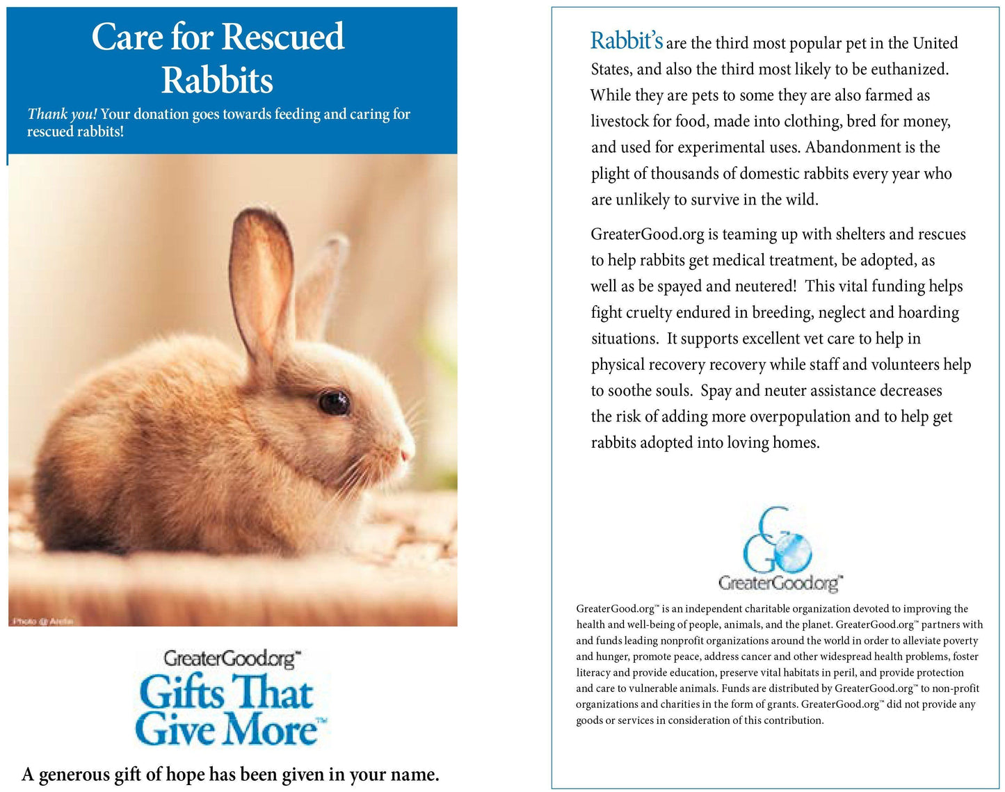 Donation - Care For Rescued Rabbits