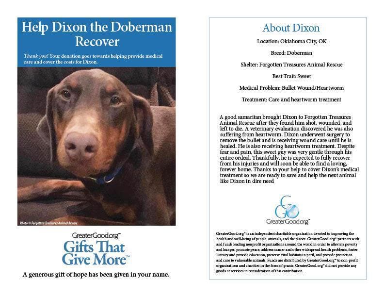 Donation - Help Dixon The Doberman Recover