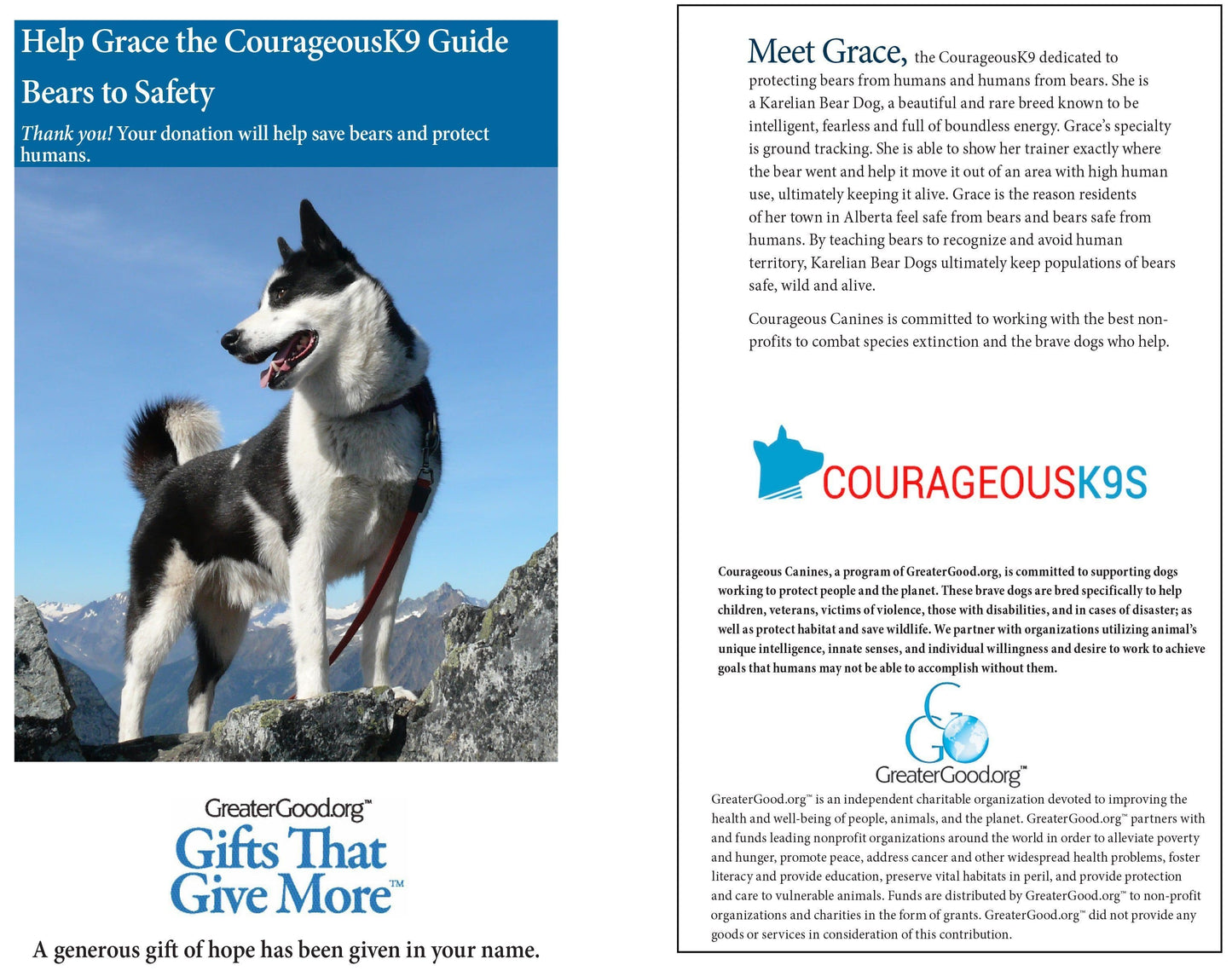 Donation - Help Grace The CourageousK9 Guide Bears To Safety