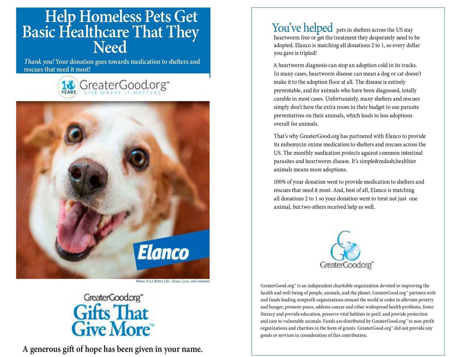 Donation - Help Homeless Pets Get Basic Healthcare That They Need