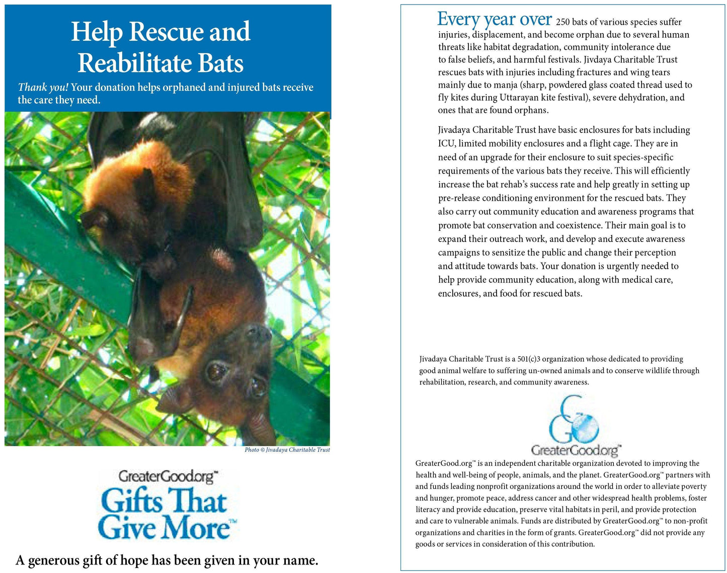 Donation - Help Rescue And Rehabilitate Bats