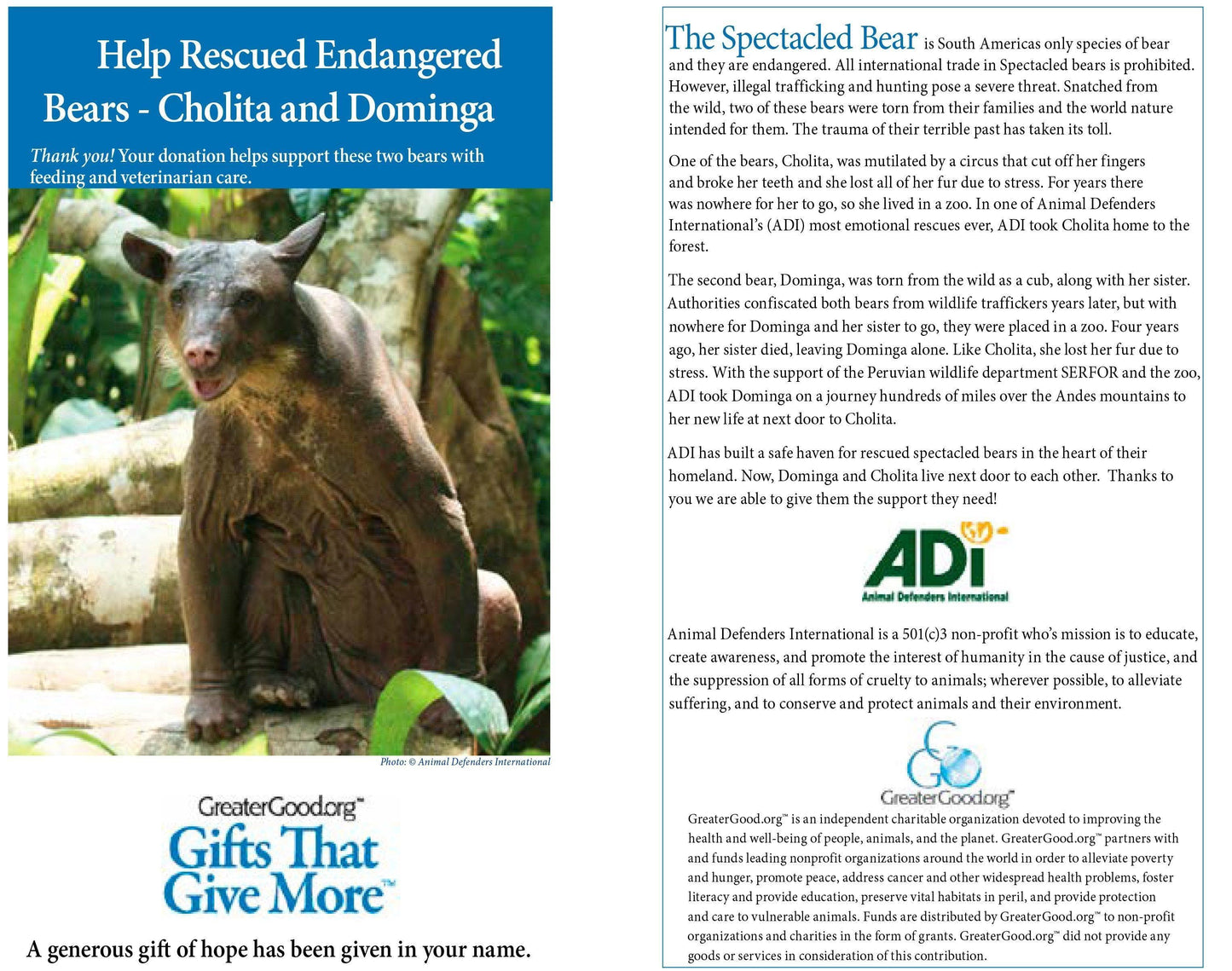 Donation - Help Rescued Endangered Bears - Cholita And Dominga