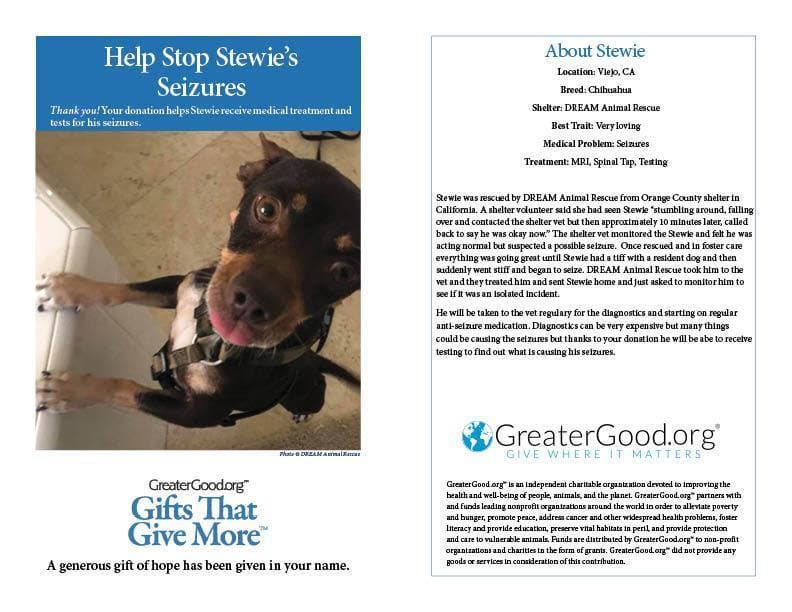 Donation - Help Stop Stewie's Seizures