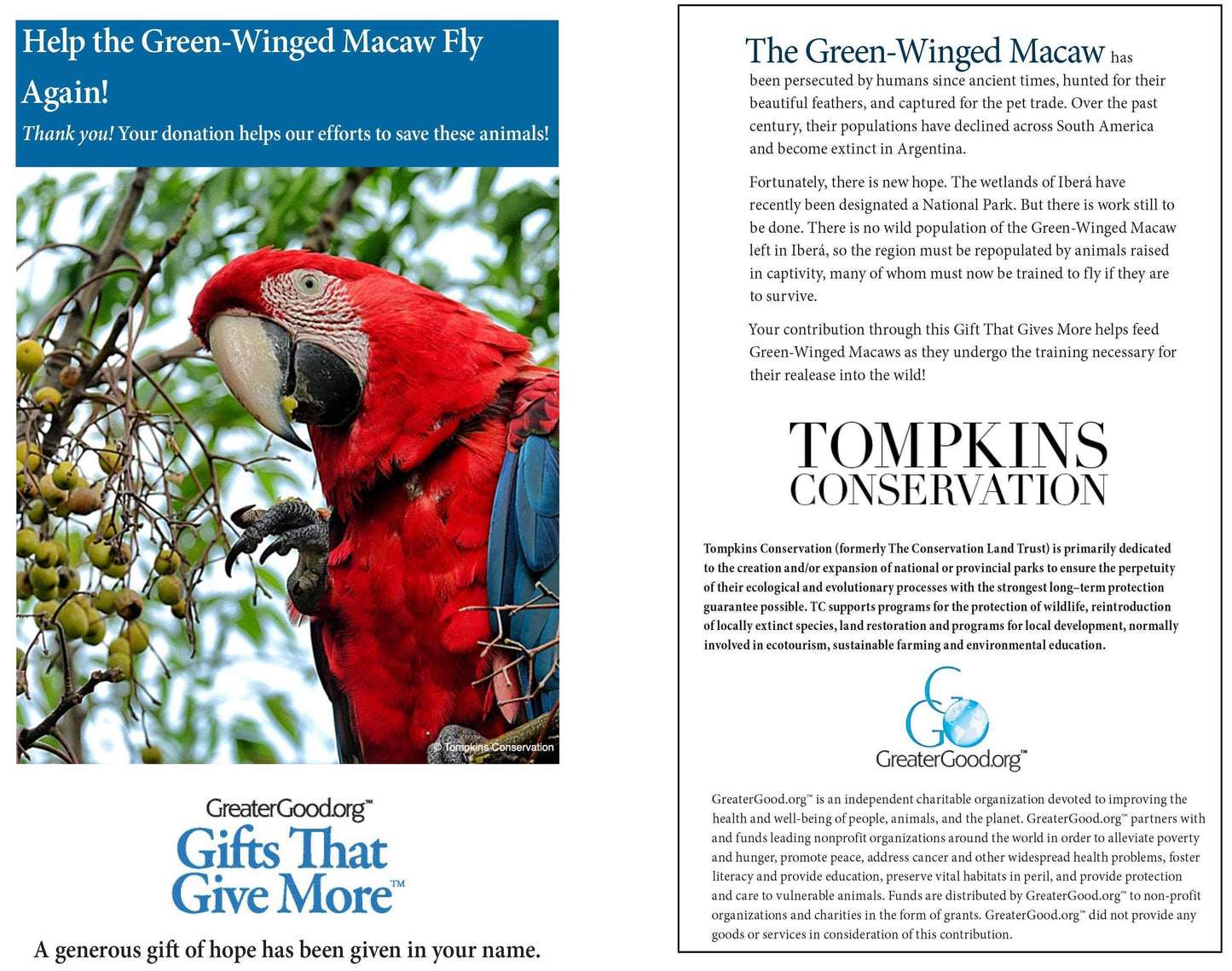 Donation - Help The Green-Winged Macaw Fly Again!