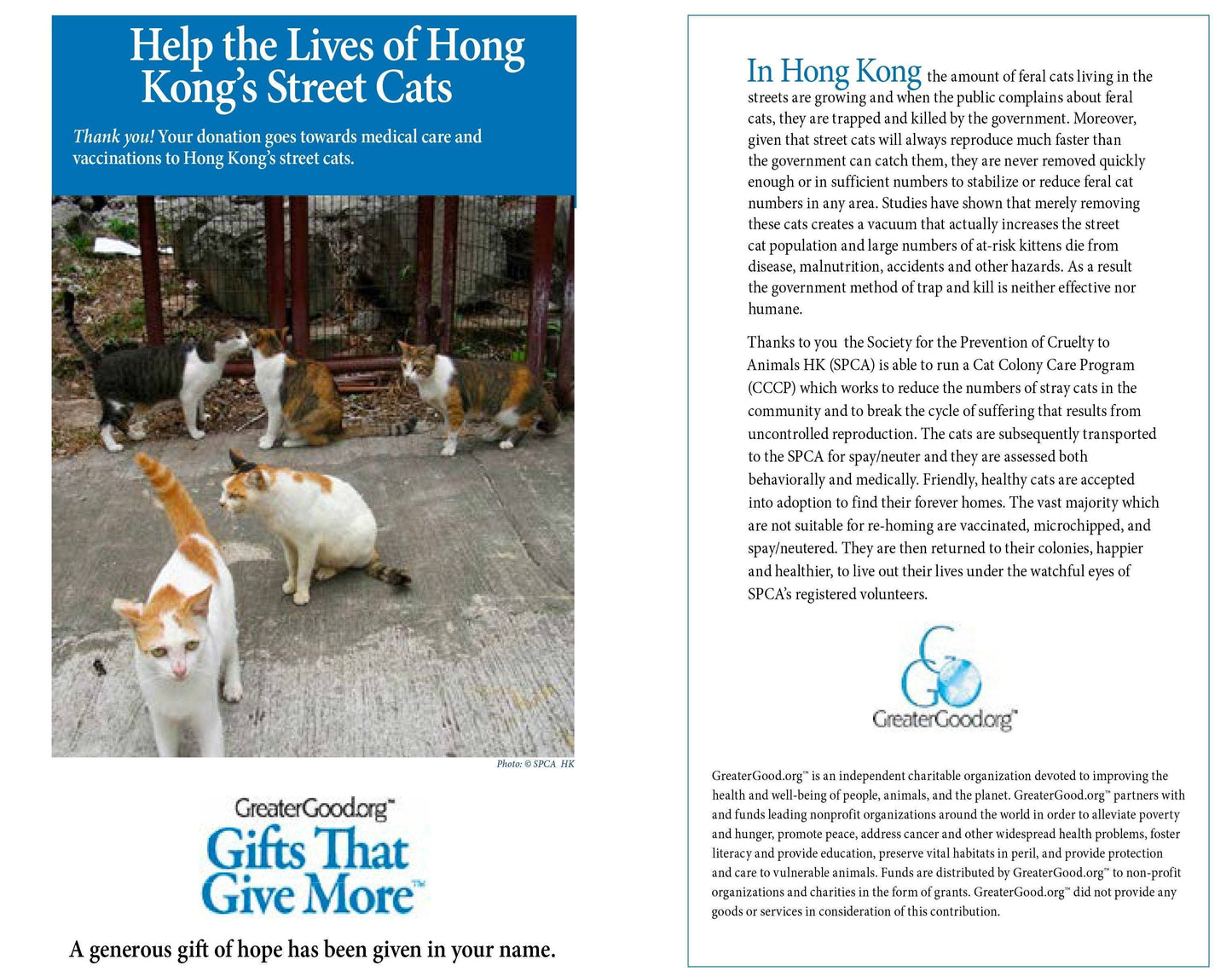 Donation - Help The Lives Of Hong Kong's Street Cats