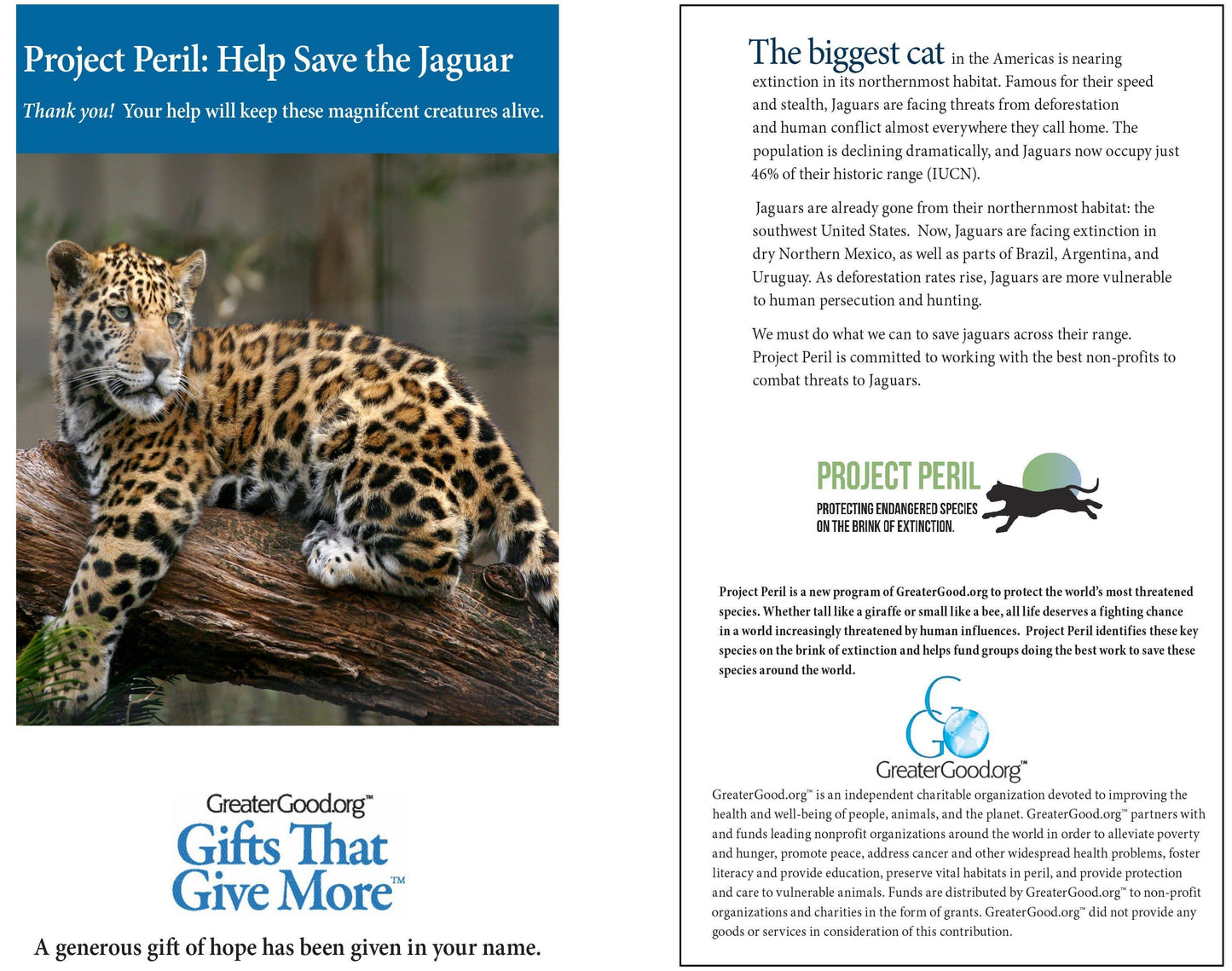 Donation - Project Peril: Help Save The Jaguar