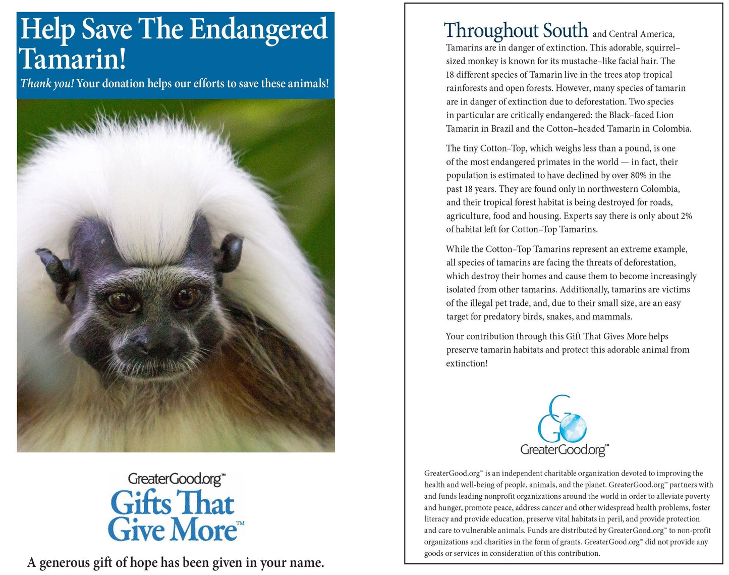 Donation - Project Peril: Help Save The Tamarin