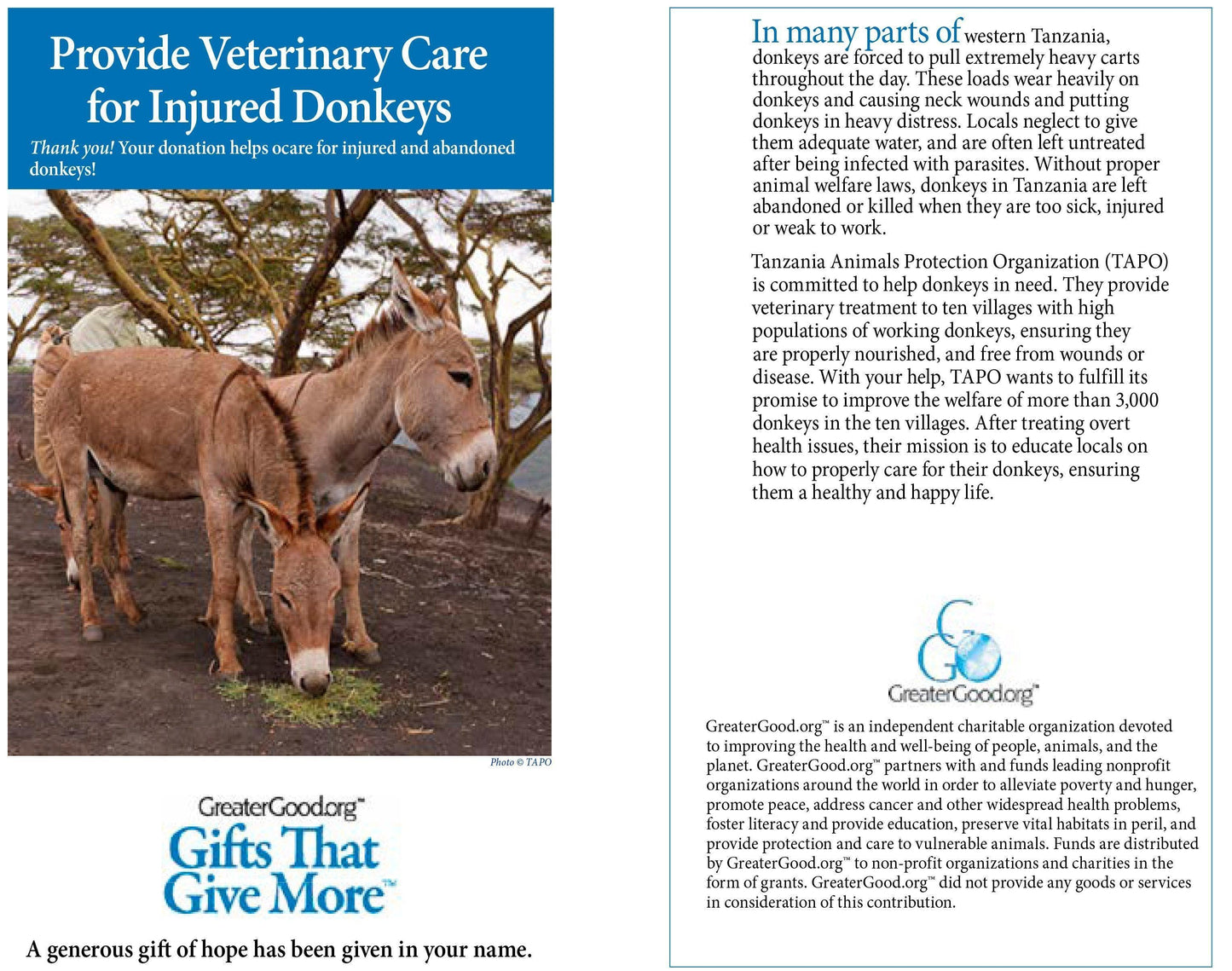 Donation - Provide Veterinary Care For Injured Donkeys