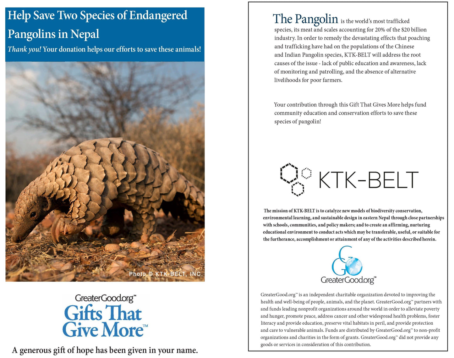 Donation - Save Two Species Of Endangered Pangolins In Nepal