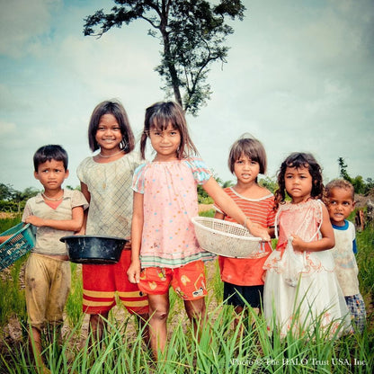 Donation - Clear Landmines To Save Lives In Cambodia