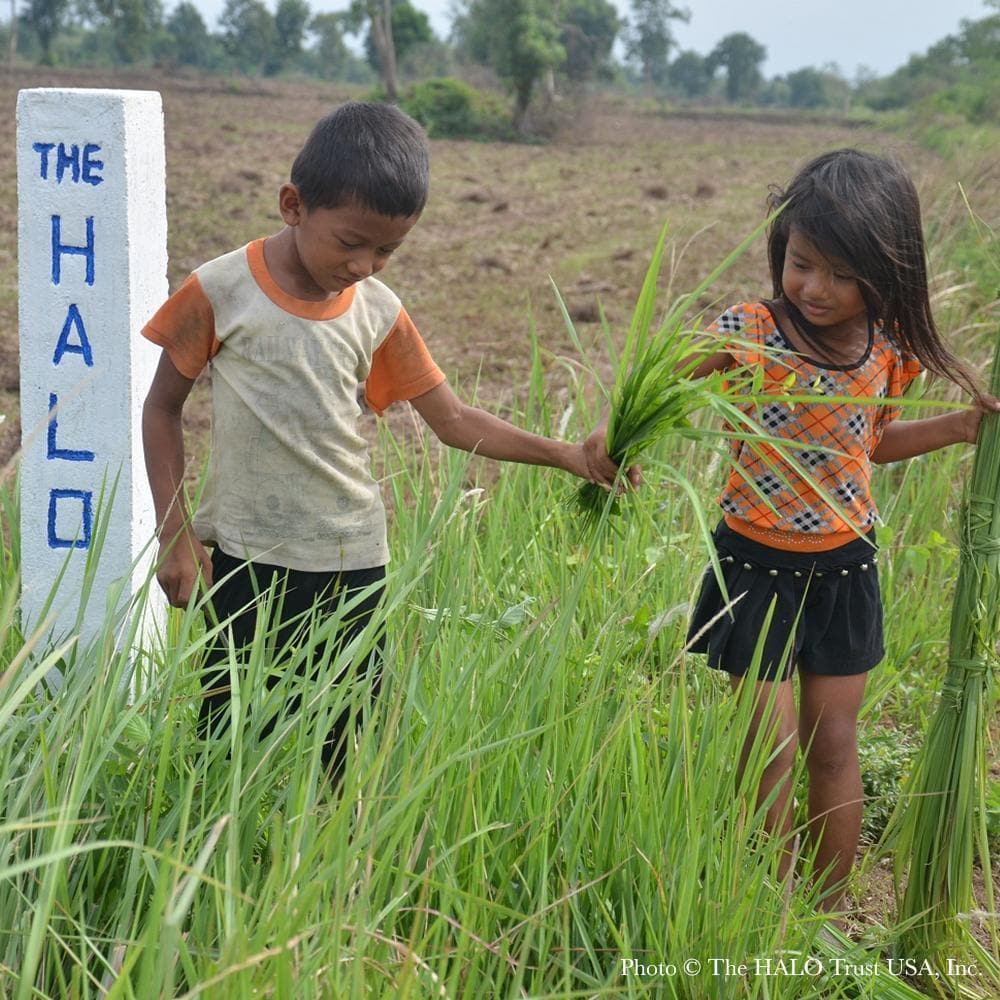 Donation - Clear Landmines To Save Lives In Cambodia