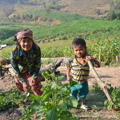 Donation - Clear Landmines To Save Lives In Cambodia