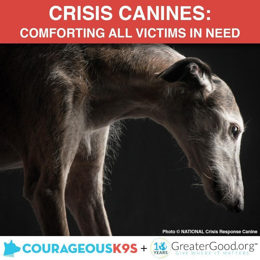 Donation - Crisis Canines Save Lives