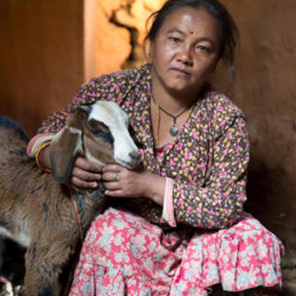 Donation - Give Goats To Families In Need