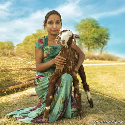 Donation - Give Goats To Families In Need