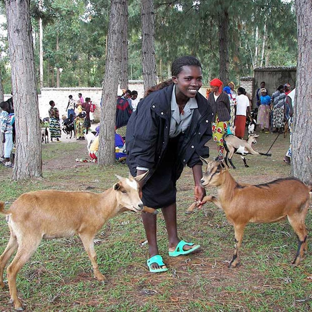 Donation - Give Goats To Rwandan Families