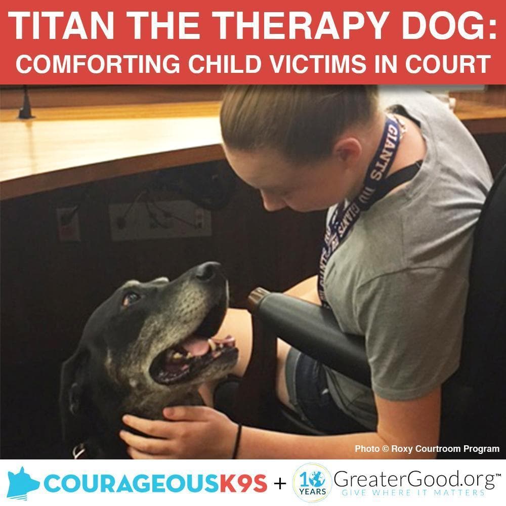 Donation - Help Titan Provide Therapy To Child Victims In Court