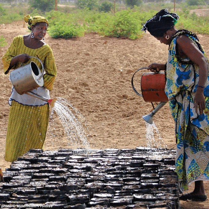 Donation - Help Women In Mali Grow A Better Future