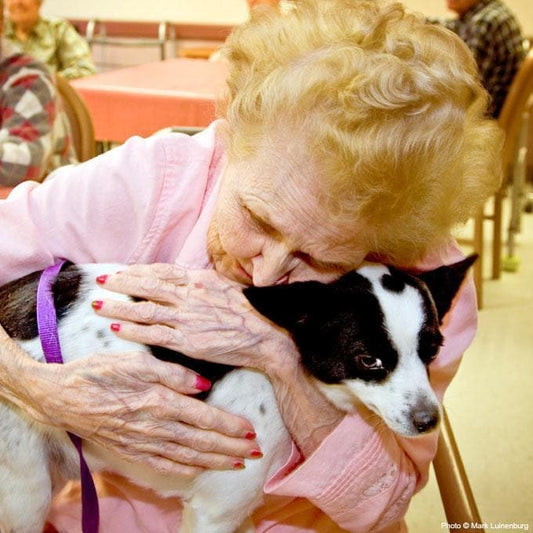 Donation - Pet Therapy For Hospice Patients