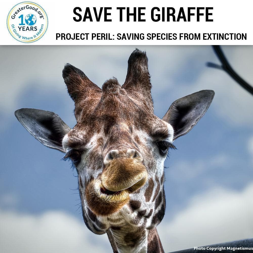 Donation - Project Peril: Help Save The Giraffe