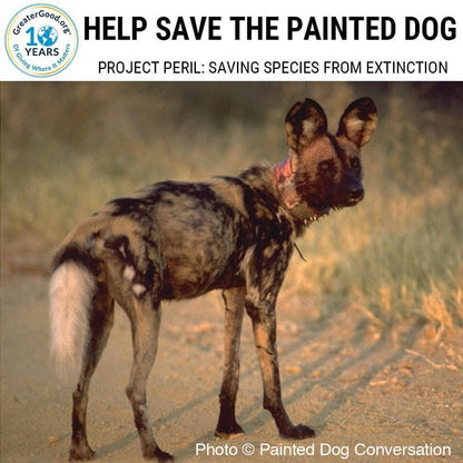 Donation - Project Peril: Help Save The Painted Dog