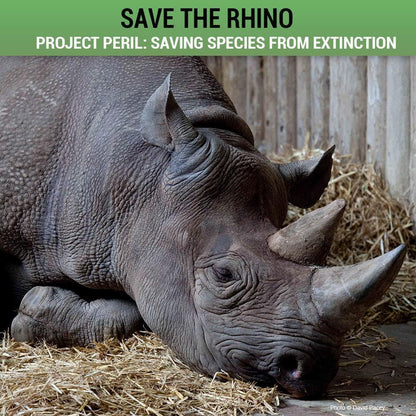 Donation - Project Peril: Help Save The Rhino