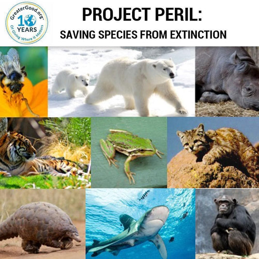 Donation - Project Peril: Protecting Species On The Brink Of Extinction