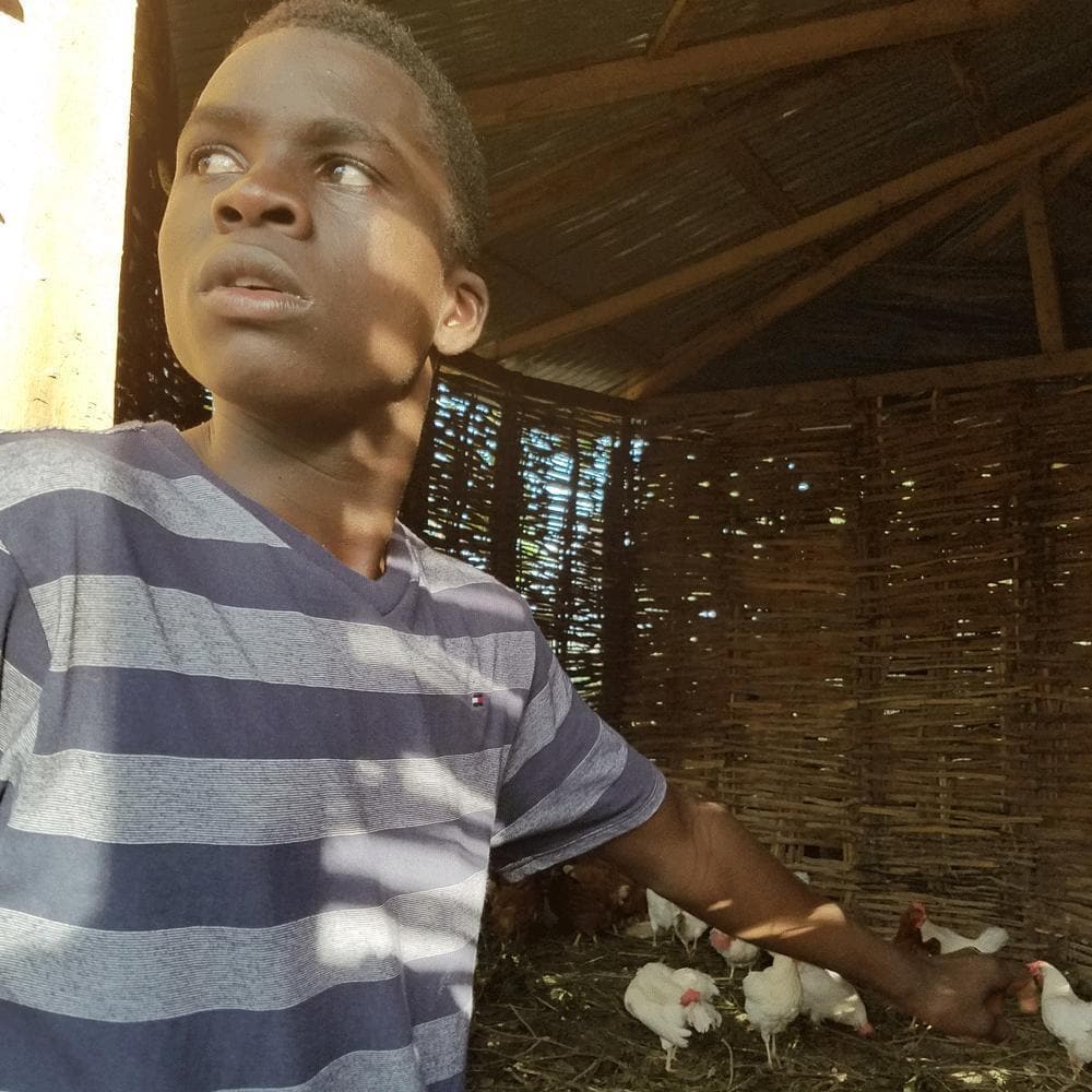 Donation - Provide Egg Laying Hens For Haitian Families