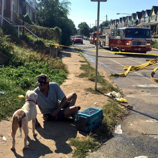 Donation - Rescue Pet Victims Of House Fires