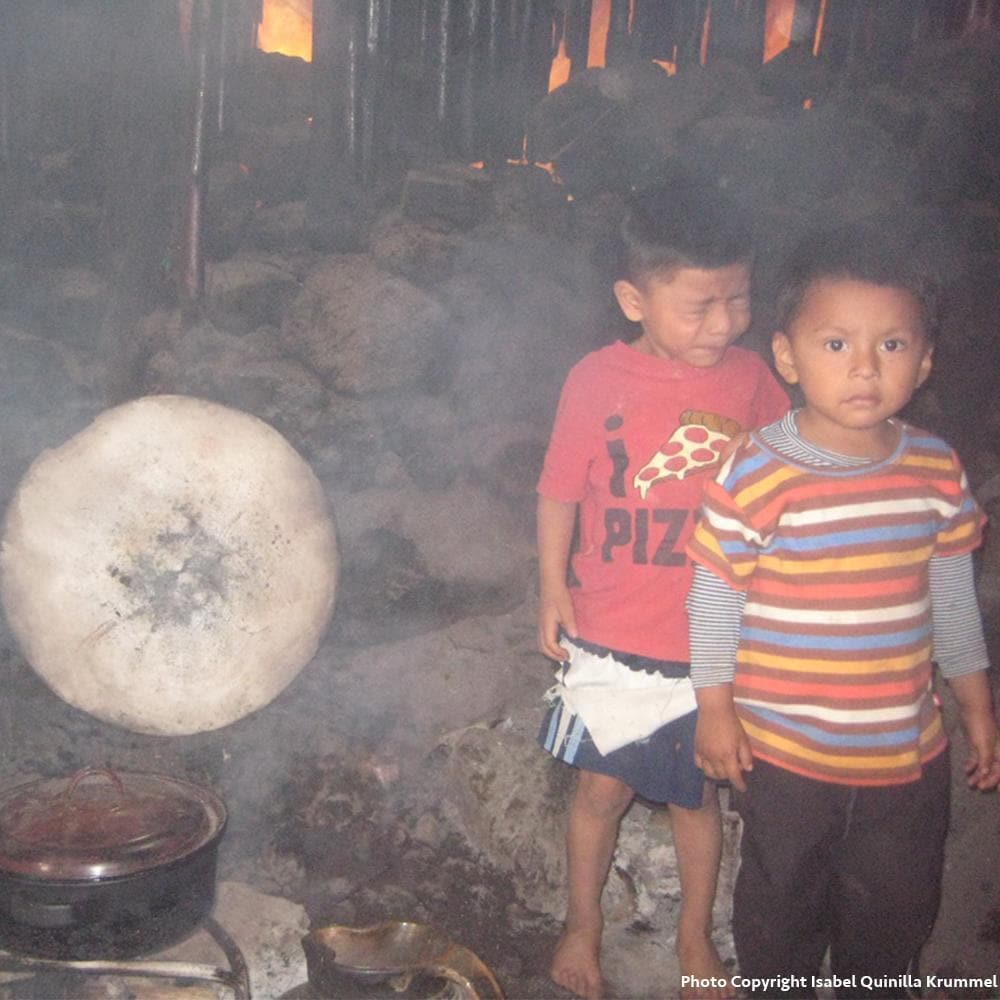 Donation - Save Guatemalan Forests With Energy Efficient Cook Stoves